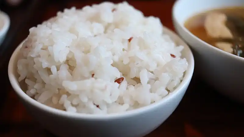 인체에 필요한 5가지 영양 성분